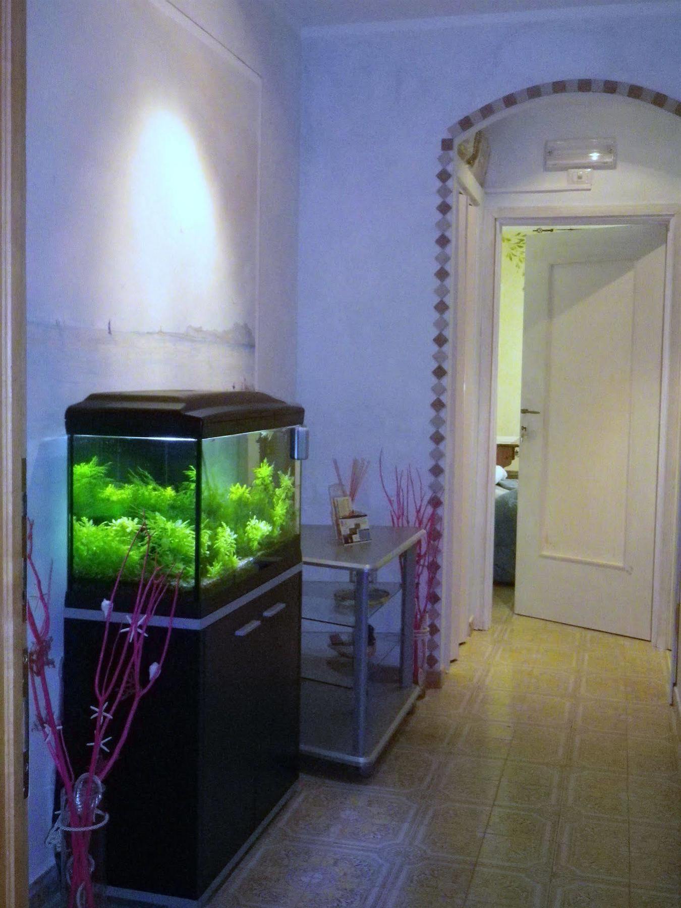 Elisart Guest House Alghero Exterior photo
